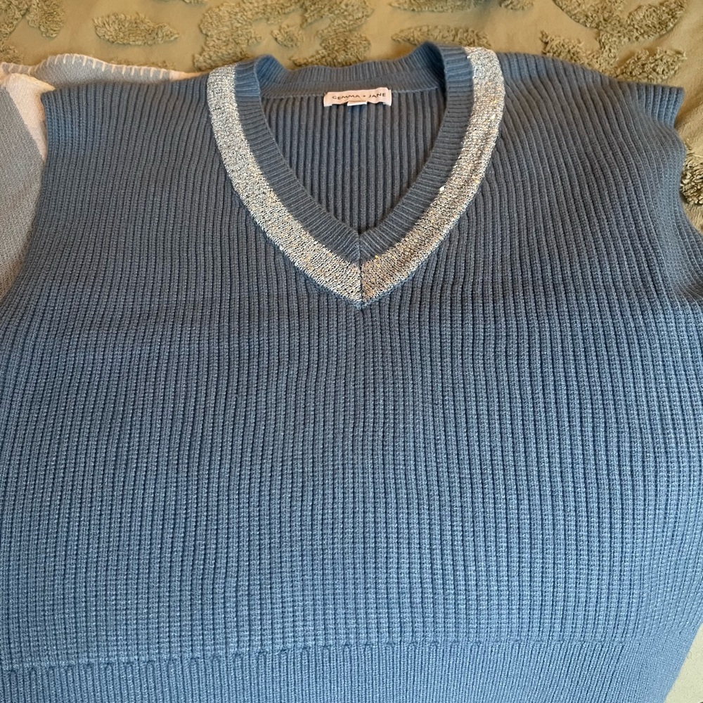 Blue V-Neck Sweater